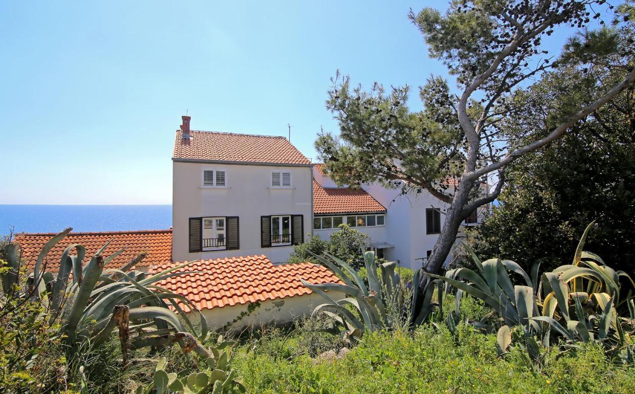 Blue Cliff Apartment Dubrovnik Eksteriør bilde